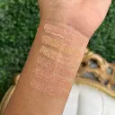 WhatsApp Image 2026-03-31 at 2.12.56 PM.webp