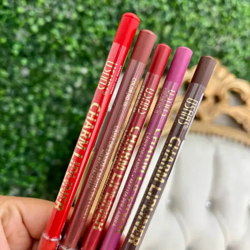 Delineador de labios charm - Ushas UP002